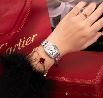 Cartier Santos Stainless Steel 24MM Lady With Diamond Wrist Watch